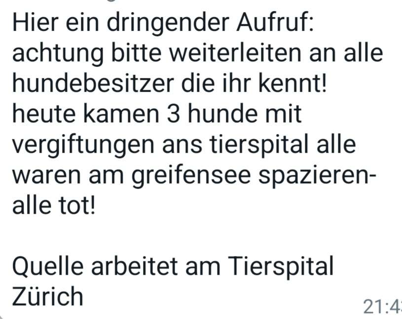 Giftköder-Blaualgen im Greifensee-Profilbild