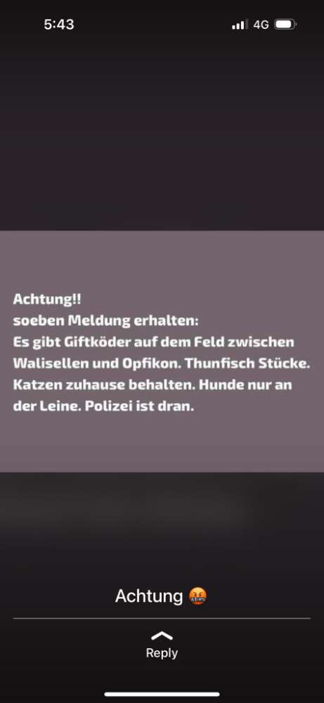 Giftköder-Giftköder-Profilbild