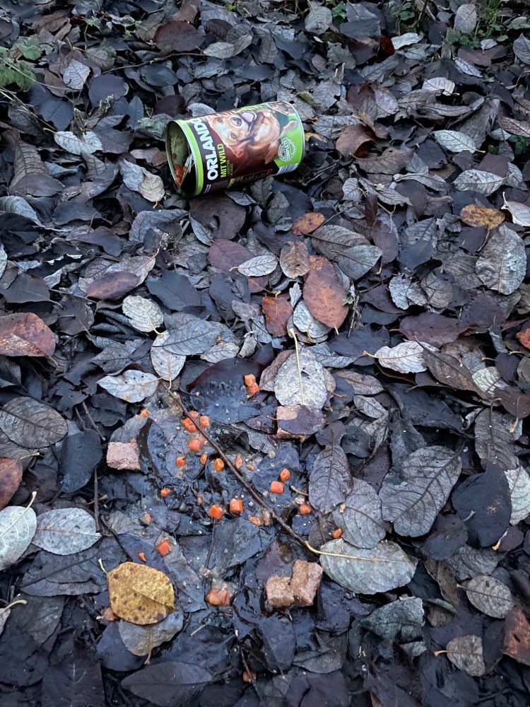 Giftköder-Giftköder?-Profilbild