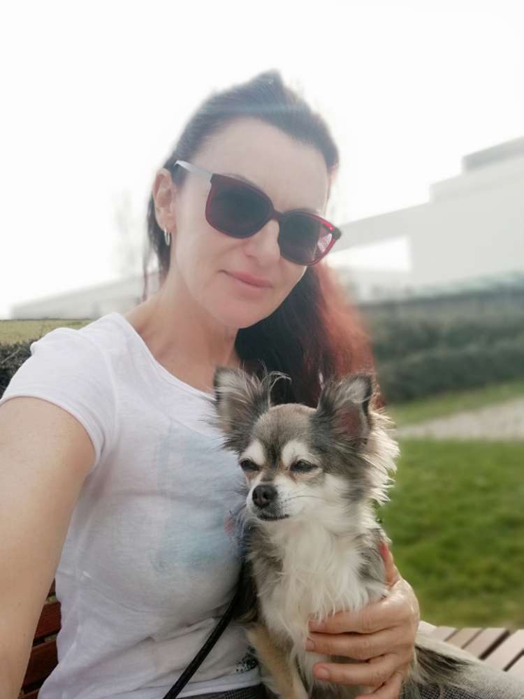 Hundetreffen-Minihunde-Treff Riemer Park-Profilbild