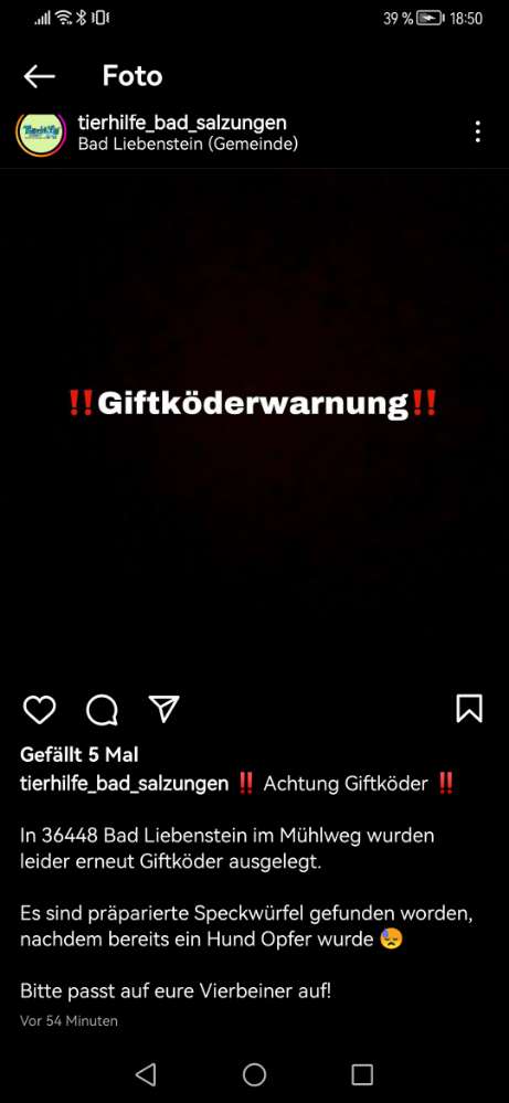 Giftköder-Giftköder-Profilbild