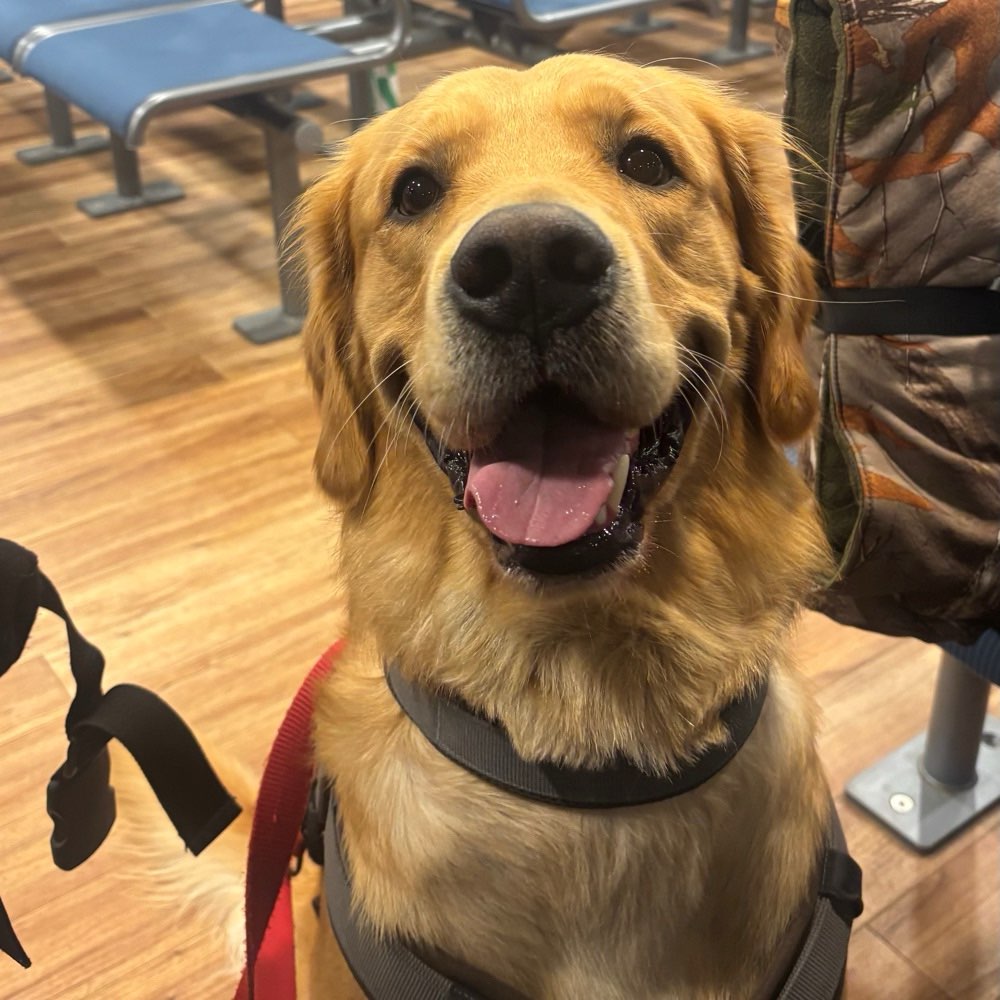 Hundetreffen-Spiel/Traingspartner für Sky-Profilbild
