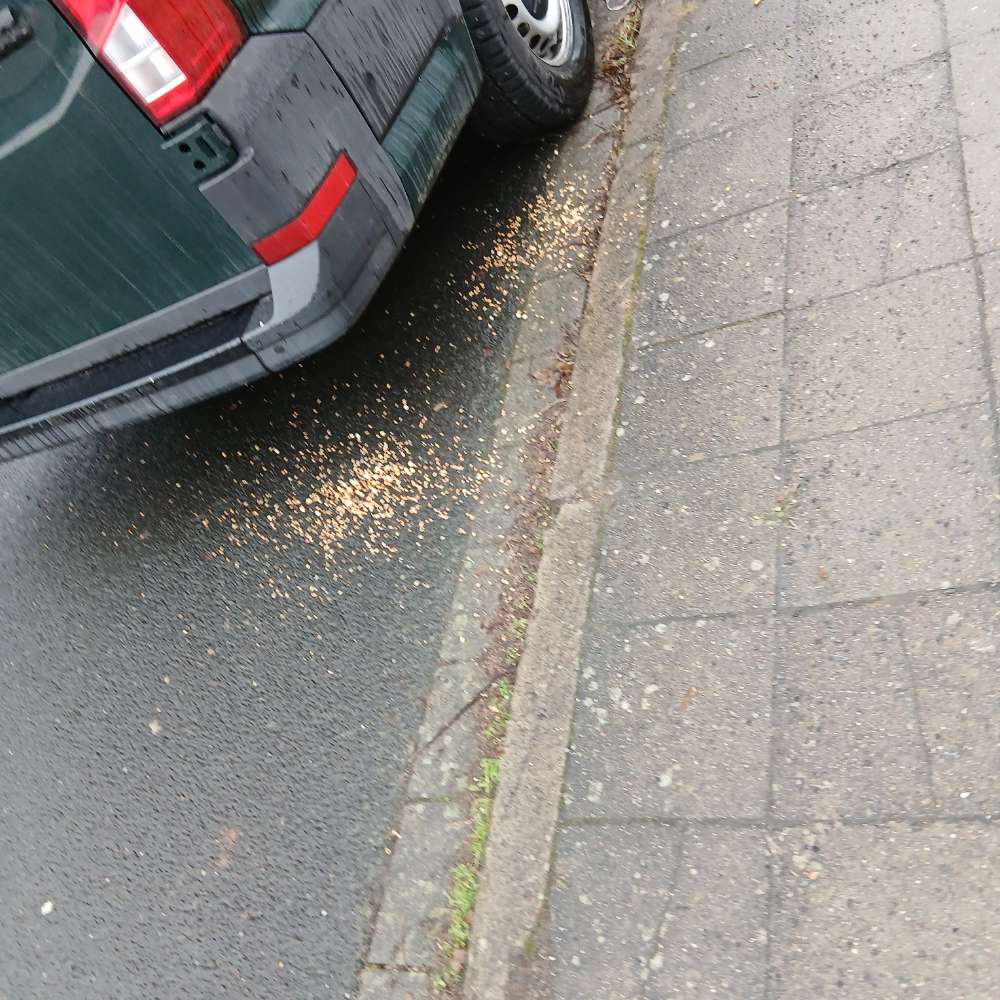 Giftköder-Köder in Form von verschiedenem Getreide-Profilbild