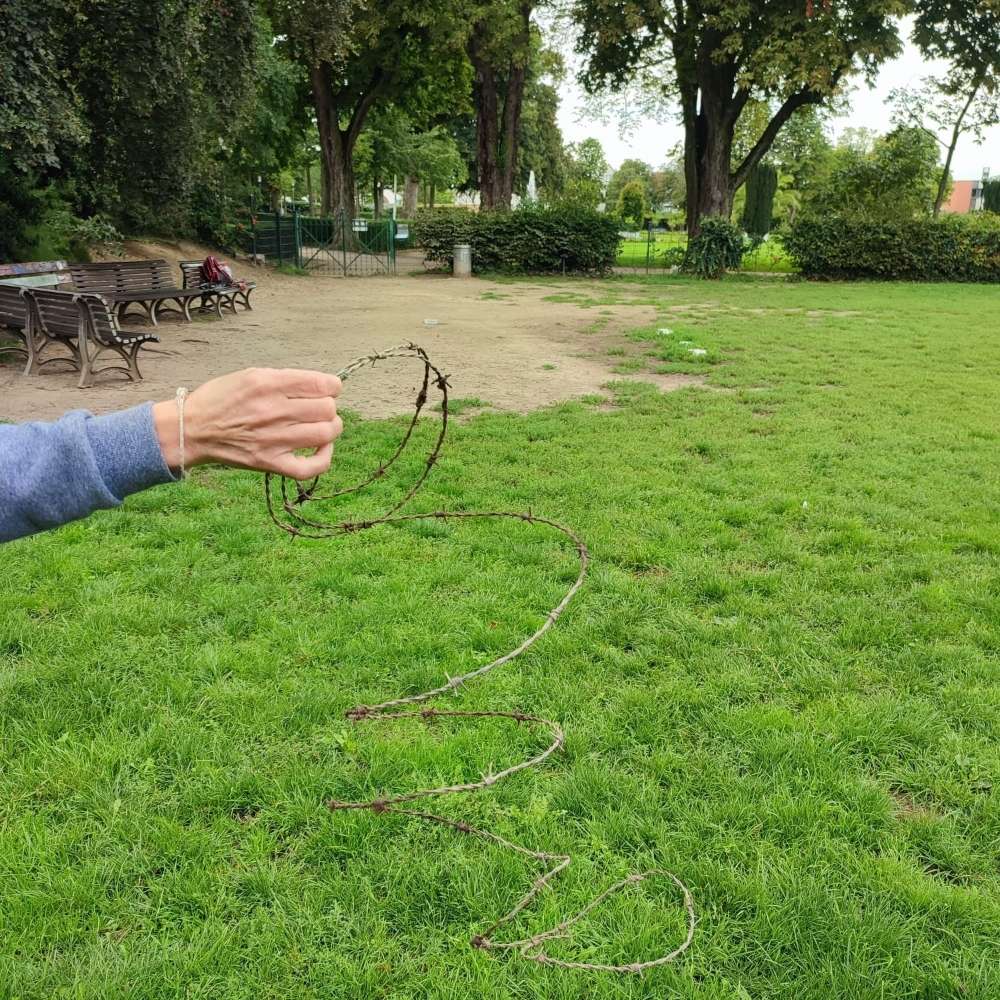 Giftköder-Glasscherben und Stacheldrahtschlingen-Profilbild