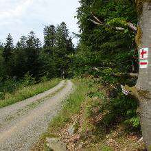 Hundetreffen-Talsperre Zeulenroda-Profilbild