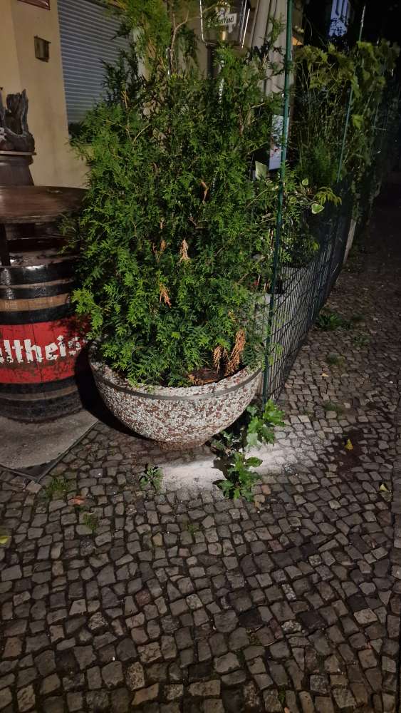 Giftköder-Weißes pulver/kristalle, mögliches Gift-Profilbild