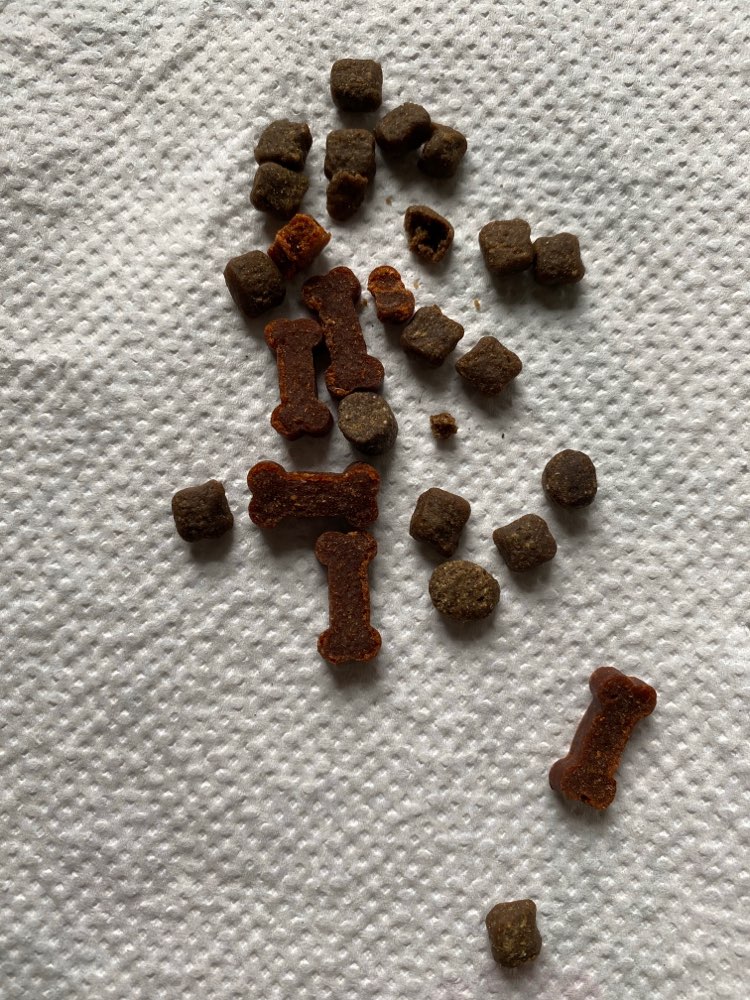 Giftköder-Gift in Knochen Form-Profilbild