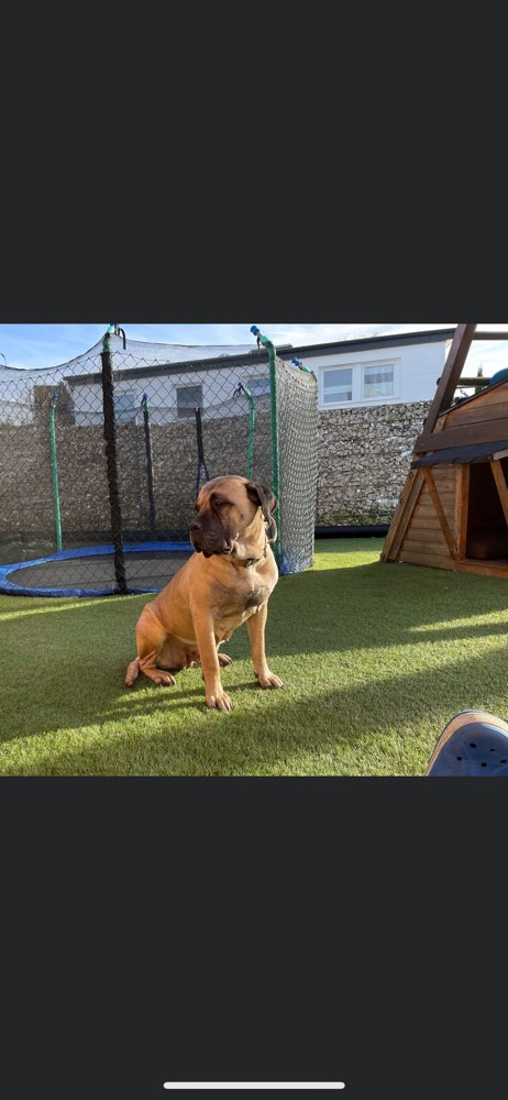 Suchmeldung-Lisbet-Profilbild