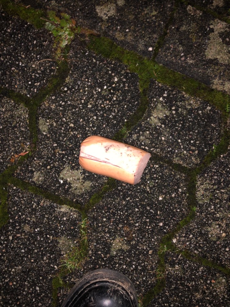 Giftköder-Möglicher Giftköder-Profilbild