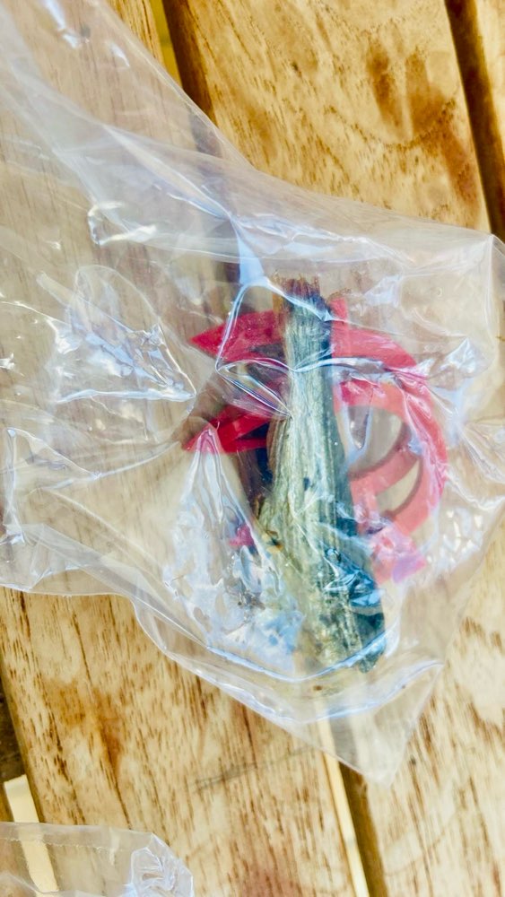 Giftköder-Giftköder-Profilbild