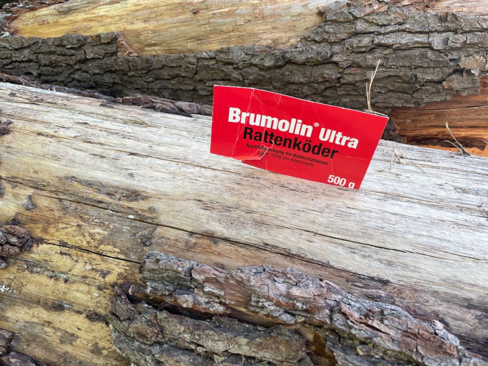 Giftköder-Rattengift-Profilbild