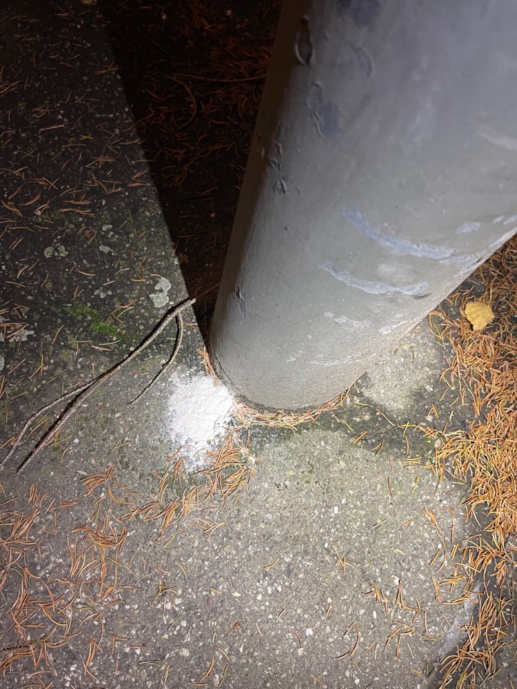 Giftköder-Ratten Gift ab Luna bis Aldinger Str-Profilbild