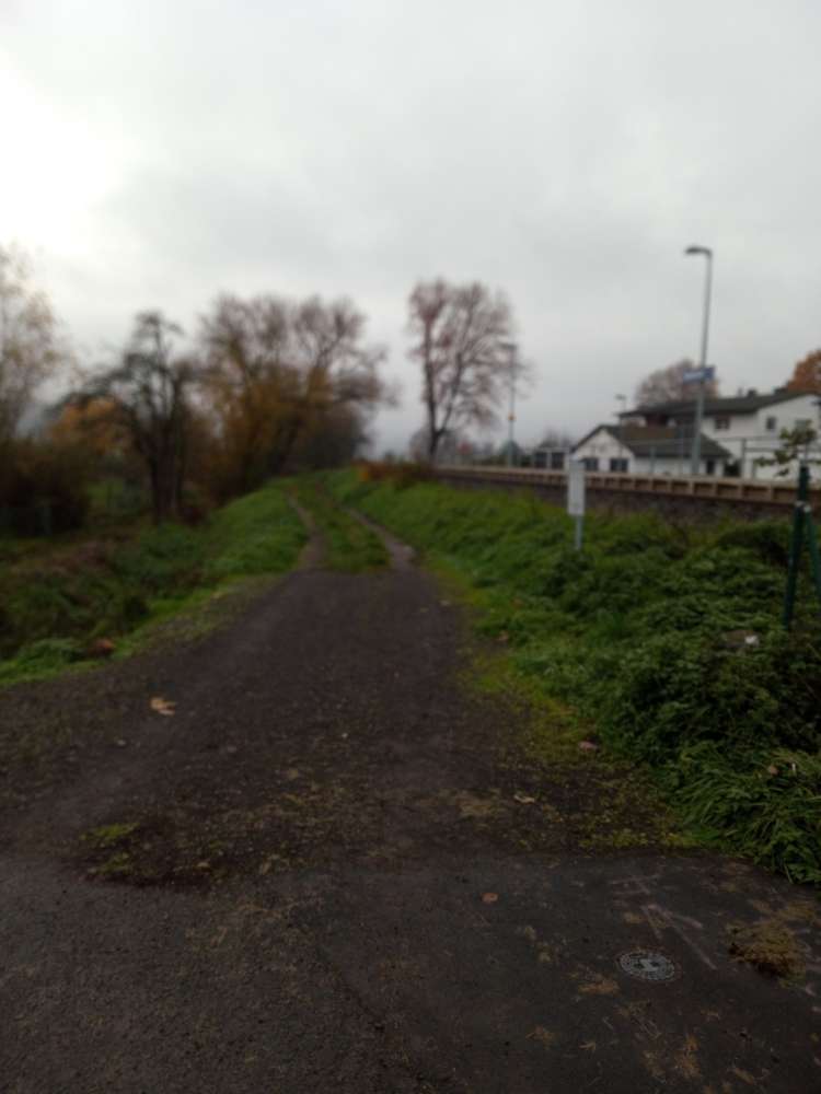 Giftköder-Ausgelegte Bockwurst-Profilbild