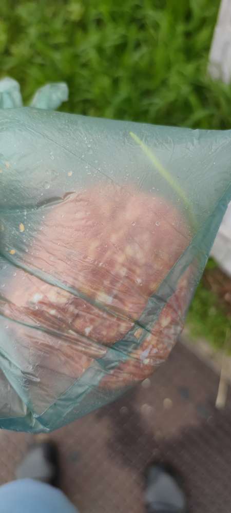 Giftköder-Hackfleisch-Profilbild