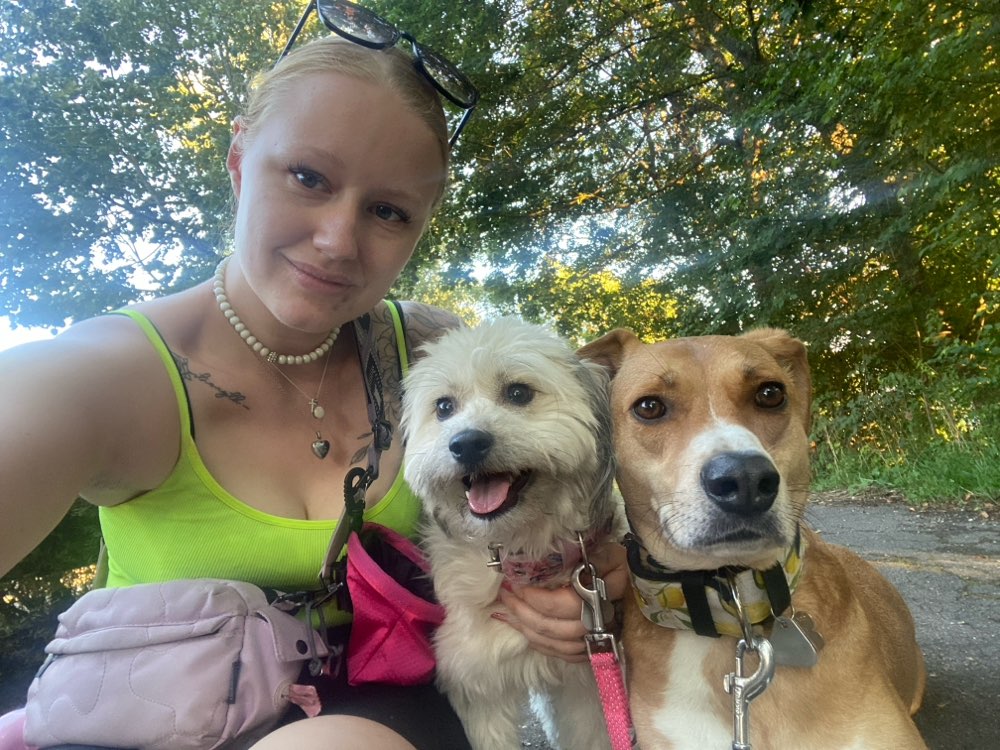 Hundetreffen-Gassi Treffen-Profilbild