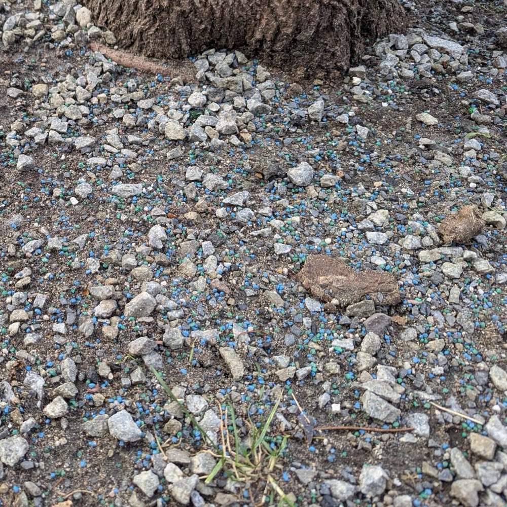 Giftköder-Blaues Granulat-Profilbild