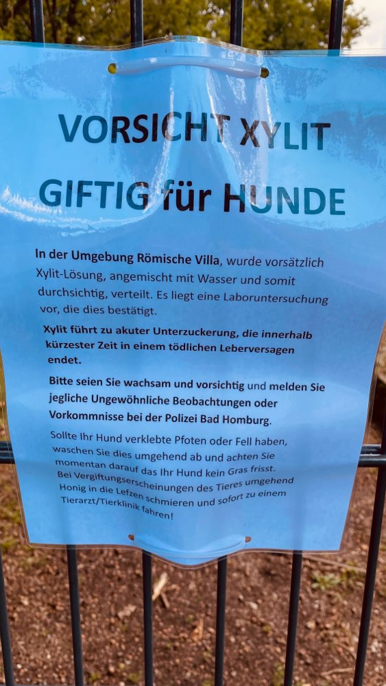 Giftköder-Xylit/ Birkenzucker Römische Villa-Profilbild