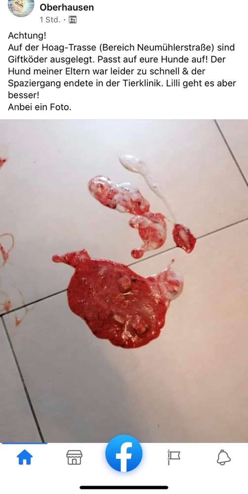 Giftköder-Giftköder-Profilbild