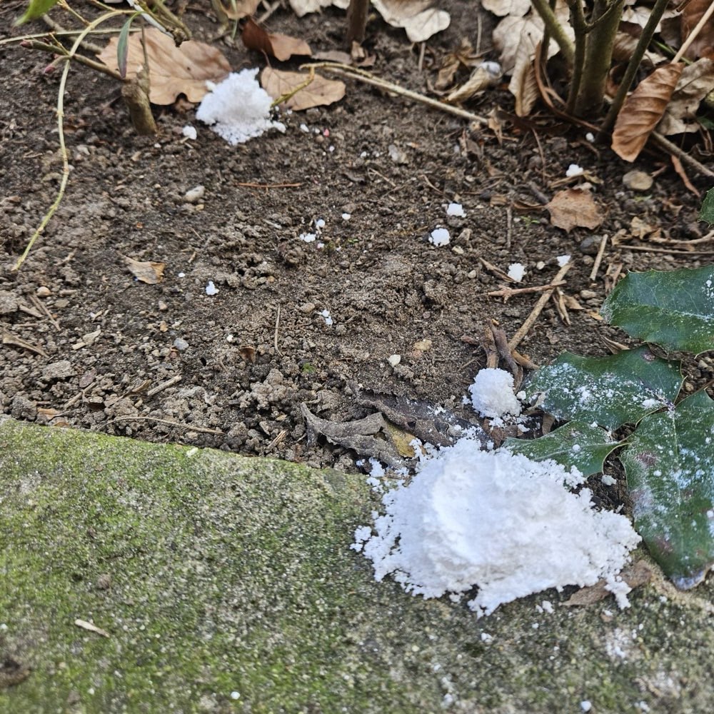 Giftköder-Giftköder?-Profilbild