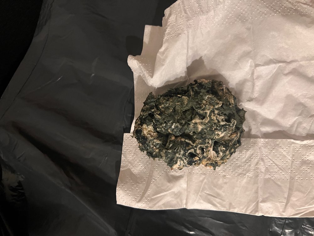 Giftköder-Eventuell Giftköder-Profilbild