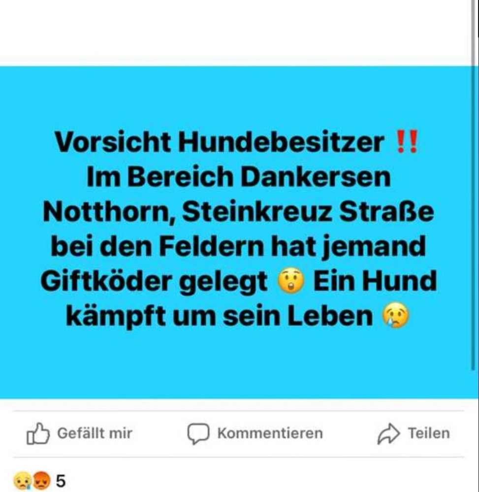 Giftköder-Giftköder-Profilbild