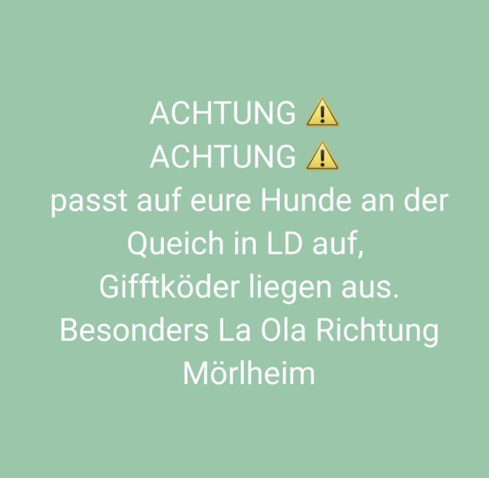 Giftköder-Giftköder-Profilbild