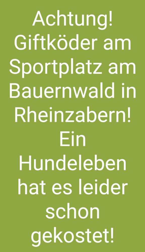 Giftköder-Giftköder-Profilbild
