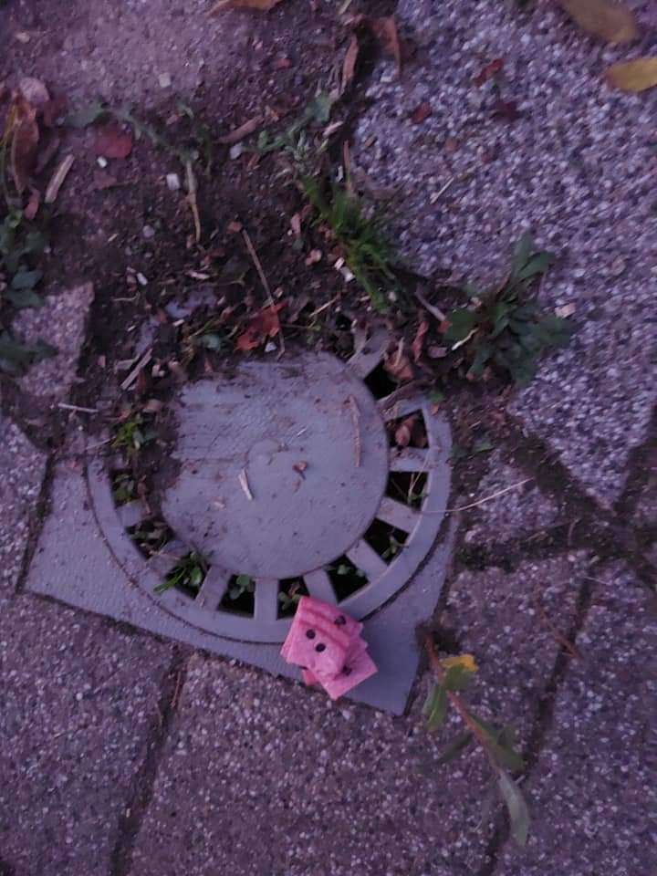 Giftköder-Wurst mit Nägeln-Profilbild