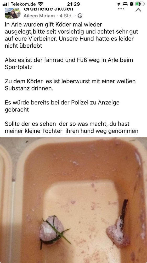 Giftköder-Giftköder-Profilbild