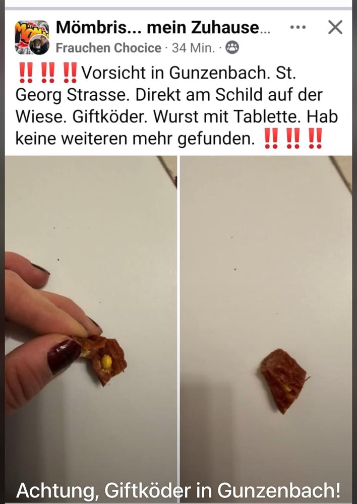 Giftköder-Wurststücke mit Tabletten-Profilbild