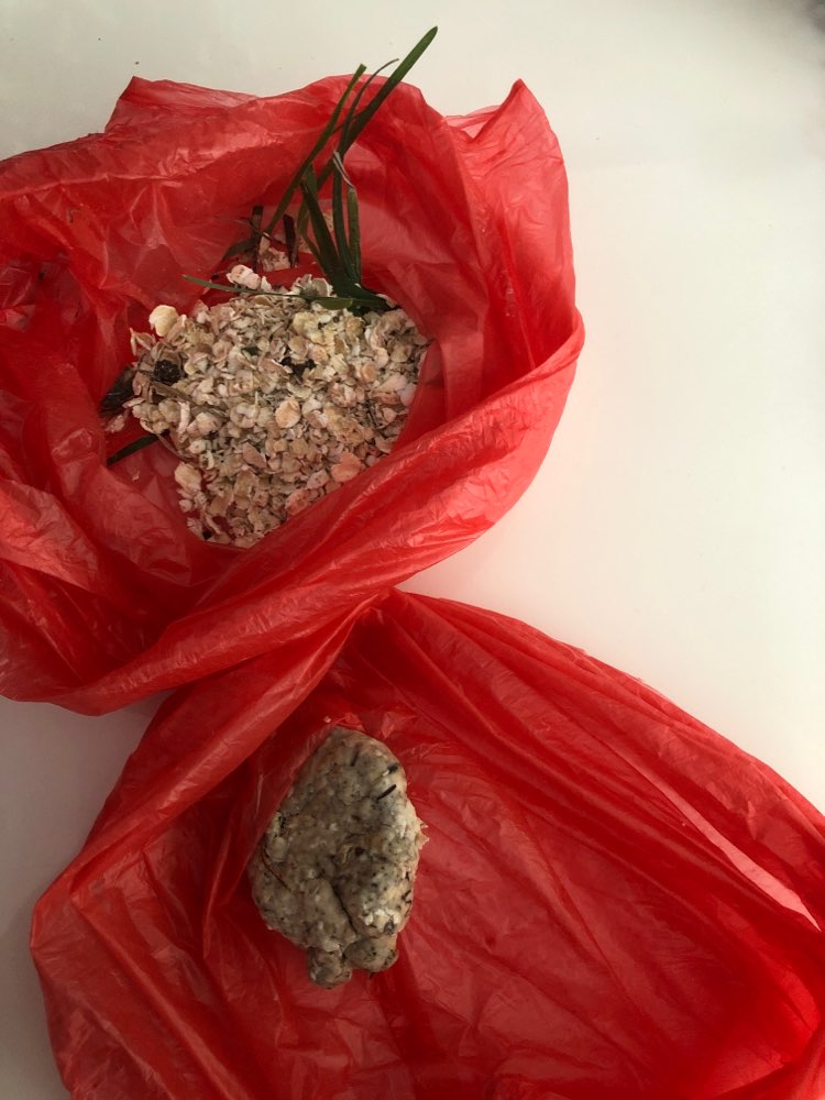 Giftköder-Vermutlich Giftköder-Profilbild