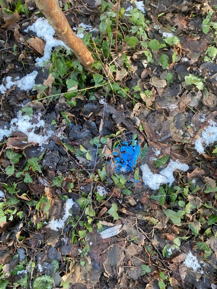 Giftköder-Stellinger Schweiz Vermutlich Gift-Profilbild