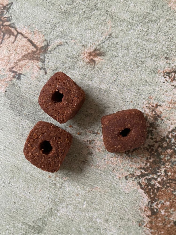 Giftköder-Vermutlich Giftköder-Profilbild