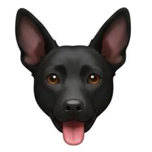 Hundetreffen-Junghundetreffen Rems-Murr-Kreis-Profilbild
