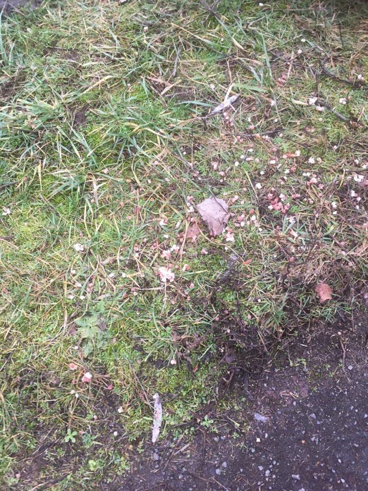 Giftköder-Achtung-Profilbild