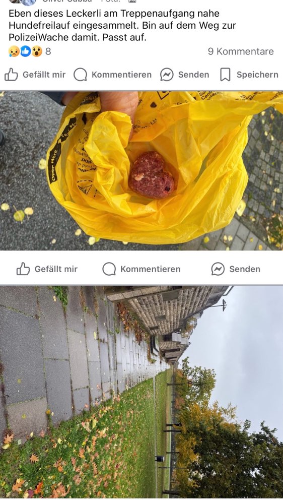 Giftköder-Bonifatius Park Riedberg Frankfurt-Profilbild