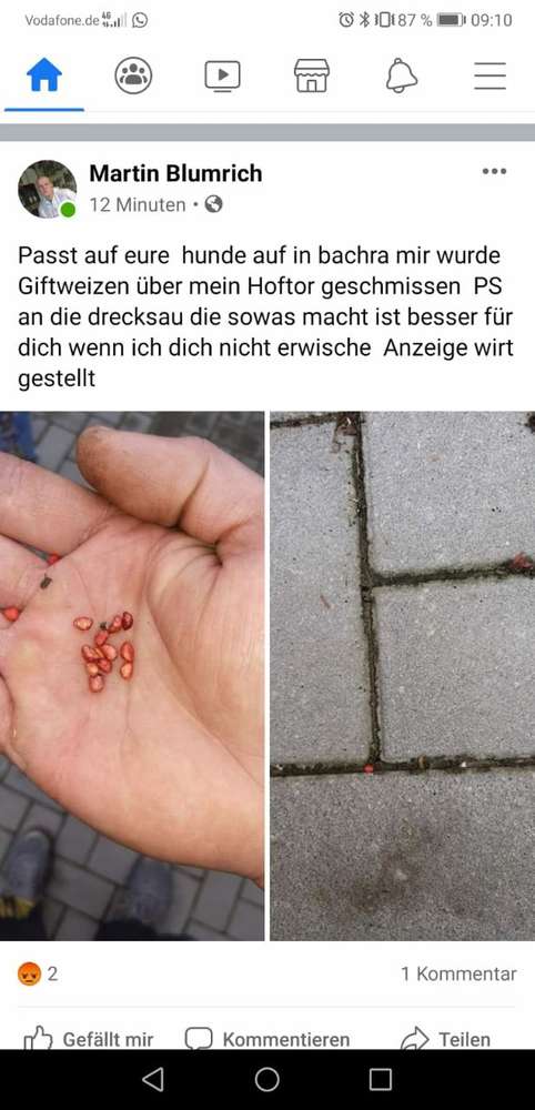 Giftköder-Giftweizen-Profilbild