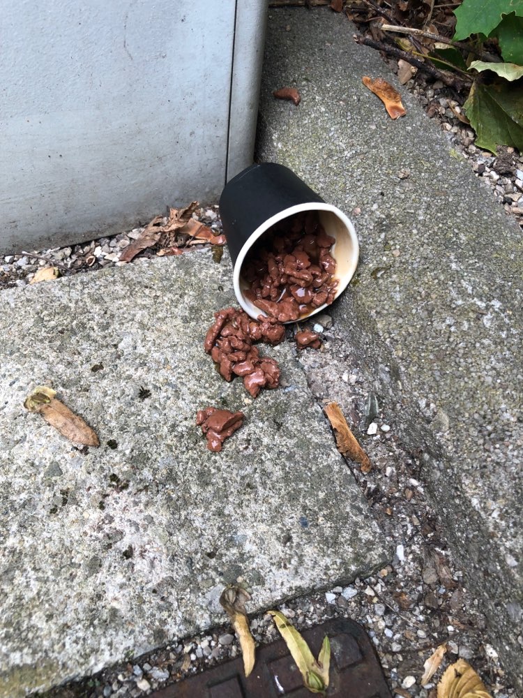 Giftköder-Ausgelegtes Hundefutter-Profilbild