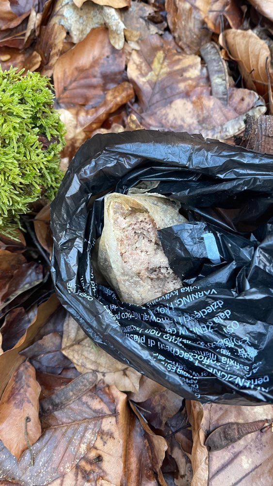 Giftköder-Fleischwurst im Wald (wurde entfernt)-Profilbild