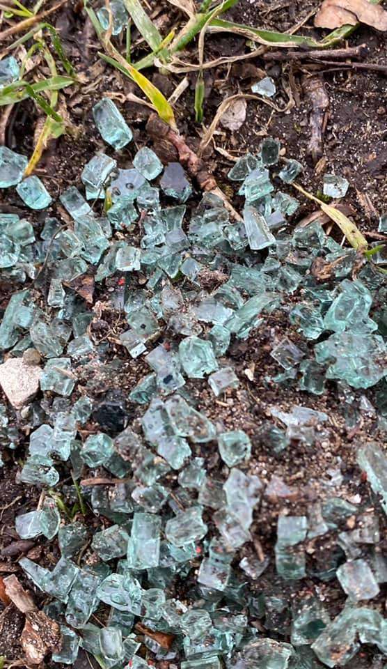 Giftköder-Gelegte Strecke aus Glasscherben Bremen-Profilbild