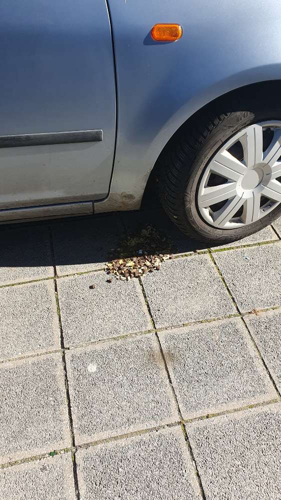 Giftköder-Große Mengen Trockenfutter u. Stücke-Profilbild