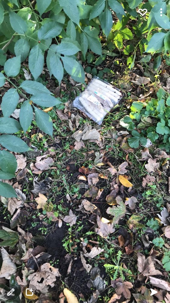 Giftköder-Versteckte & angefressene Packung Wurst-Profilbild