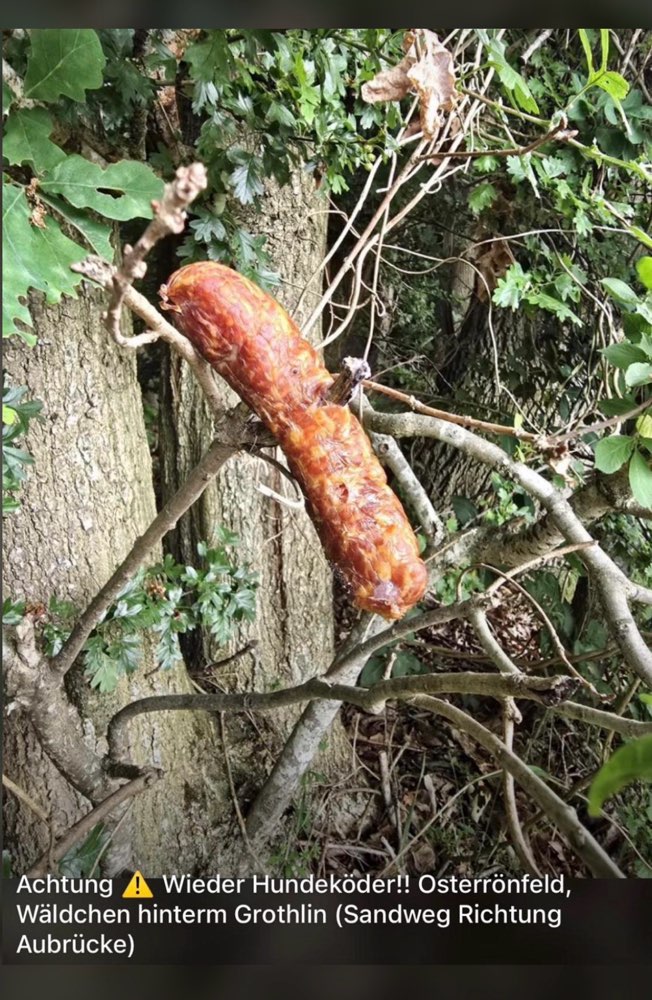Giftköder-Giftköder in Osterrönfeld-Profilbild
