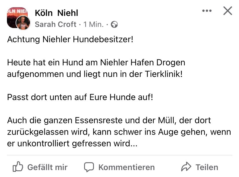 Giftköder-Drogen oder Essensreste-Profilbild