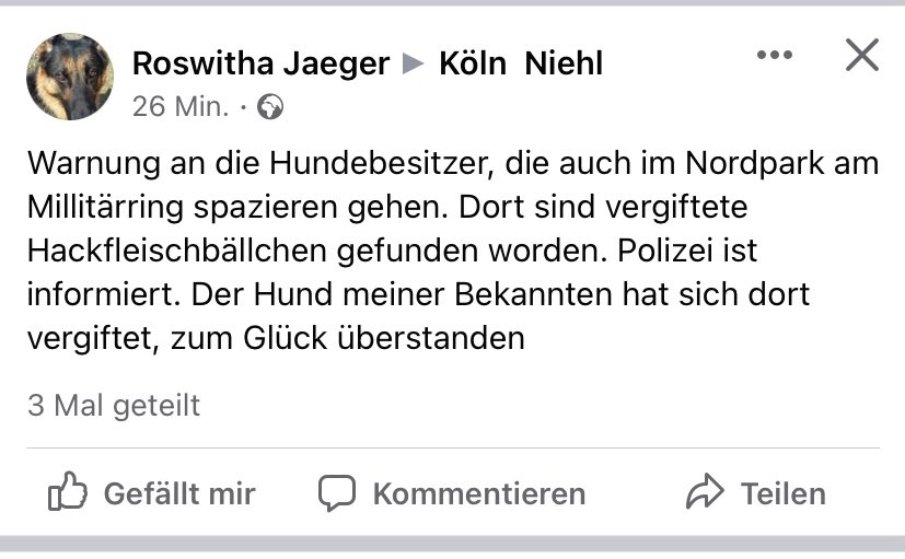 Giftköder-Vergiftete Hackfleischbällchen-Profilbild