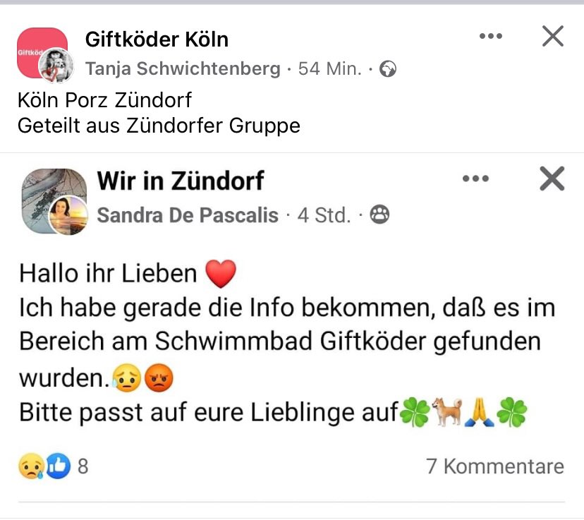Giftköder-Giftköder-Profilbild