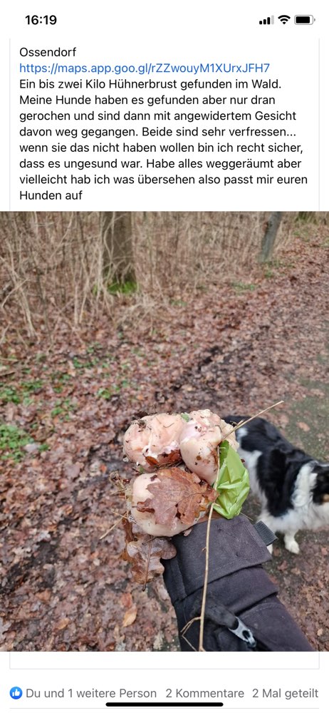 Giftköder-Ausgelegte Hühnerbrust im Wald-Profilbild