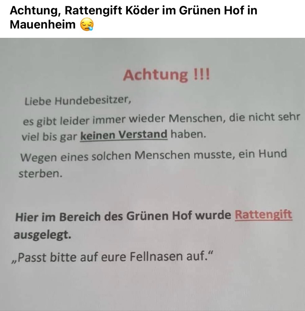 Giftköder-Rattengift-Profilbild