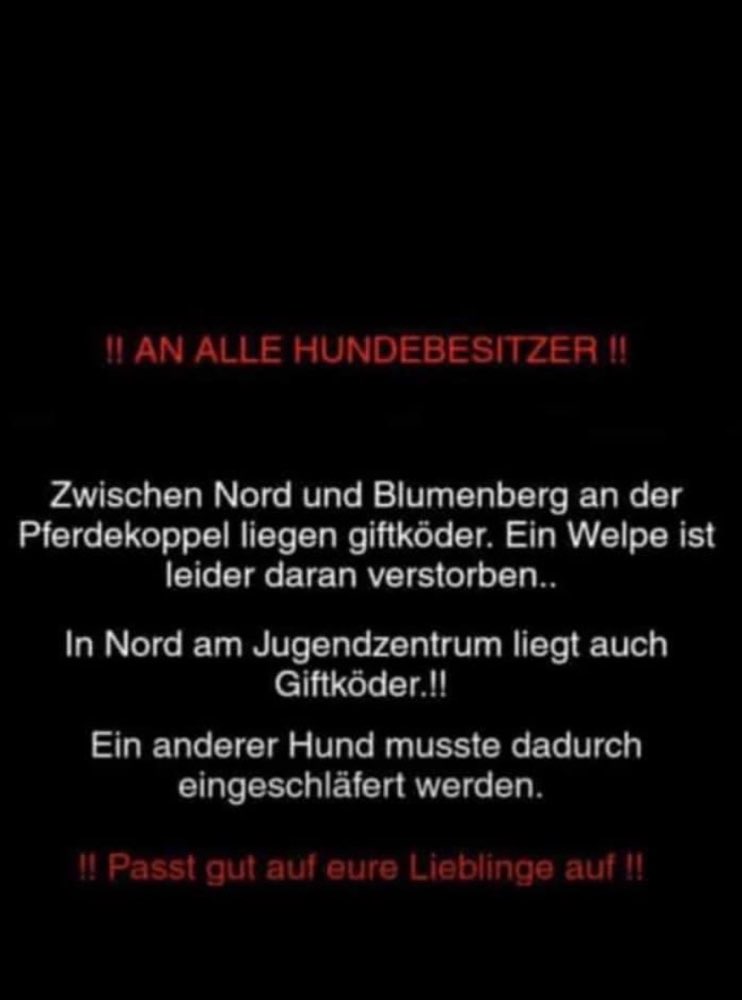 Giftköder-Giftköder-Profilbild