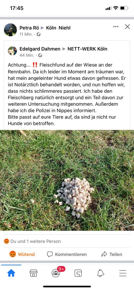 Giftköder-Fleisch ausgelegt...-Profilbild